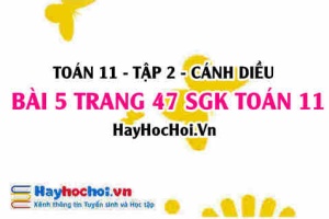 Bài 5 trang 47 Toán 11 tập 2 Cánh Diều